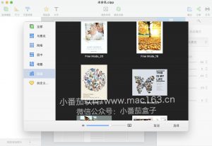 CollageIt 3 Pro 拼贴精灵3 Mac版