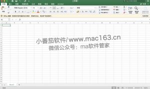 Excel 2021 Mac版 办公表格软件 中文破解版下载