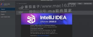 IntelliJ IDEA 2020 破解版下载