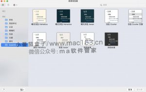 OmniOutliner Pro 5 Mac版 专业大纲记录软件 中文破解版下载