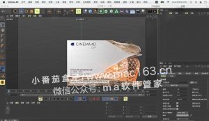 Cinema 4D C4D动画渲染软件