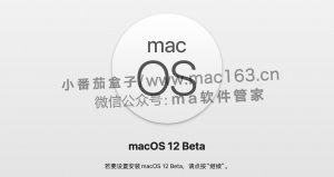 macOS monterey 12 Beta8 苹果系统下载