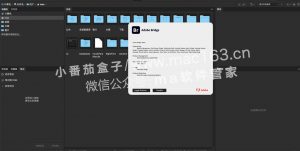 Adobe Bridge 2022 资源管理器 Br2022中文破解版下载