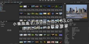 Adobe Bridge 2022 资源管理器 Br2022中文破解版下载