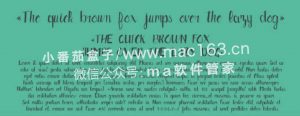 mac字体下载 艺术字体