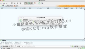 JDownloader 2 Mac版 网盘提速下载神器 中文破解版下载