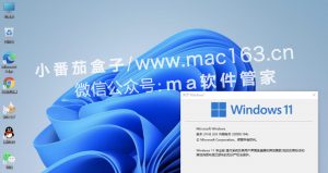 Windows11 中文破解版下载 虚拟机软件图文教程