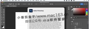 M1 ps2022 mac版 Photoshop2022 中文破解版下载 