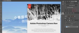 Adobe Camera Raw 14 mac版 Raw格式图像ps插件 中文破解版