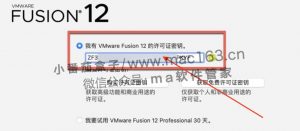 Apple虚拟机VMware Fusion Pro 12 Mac版 v12.2.4中文破解版下载